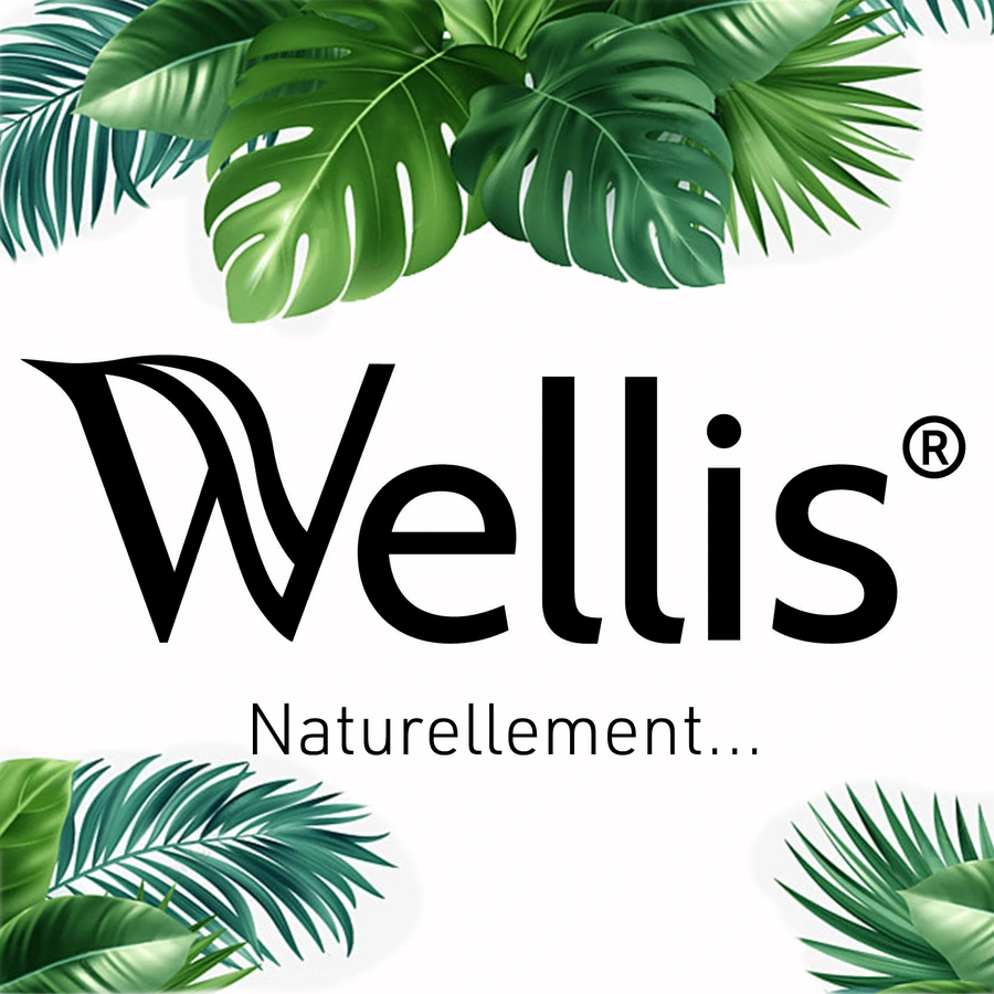 Logo de la marque Wellis